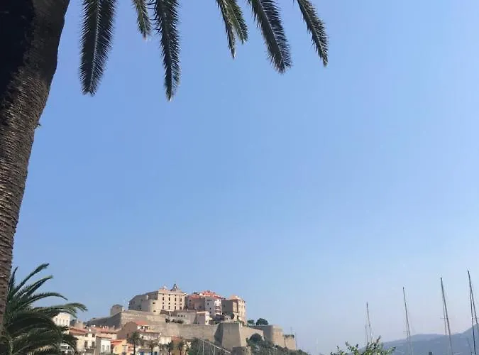 Duplex Renove Les Pieds Dans L'eau *